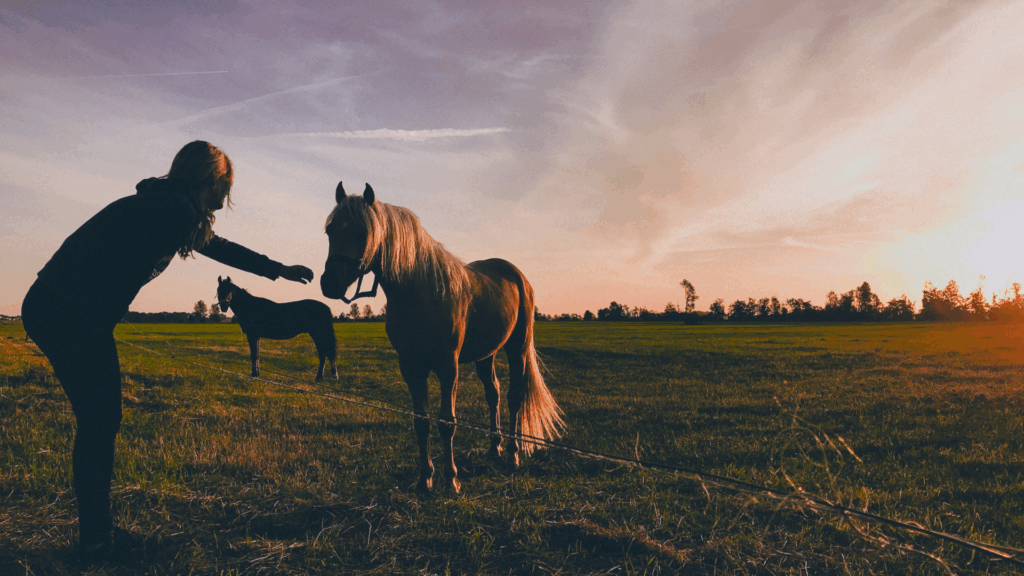 Equine Therapy In Spring Mills, PA